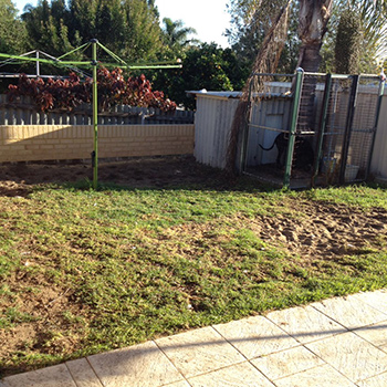 Artificial Grass Perth | Synthetic Grass Perth
