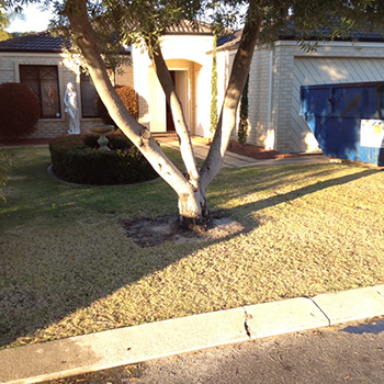 Artificial Grass Perth | Synthetic Grass Perth