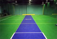 indoor cricket pitch artificial grass