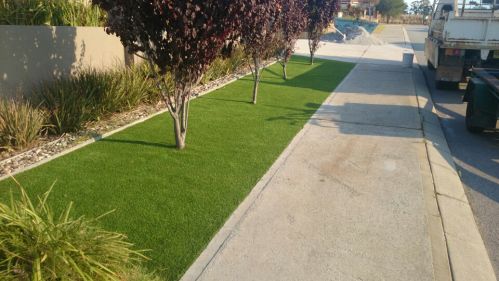 artificial_grass_perth_termico_ecoturf_5.JPG