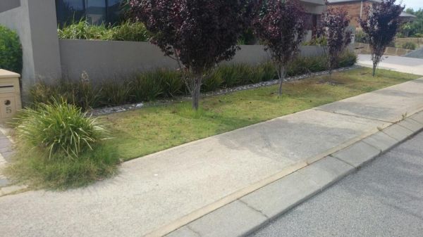 Artificial Grass Perth | Synthetic Grass Perth