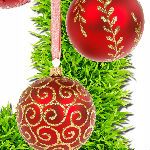 Ecoturf Office Hours over Christmas Season