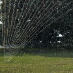 Waste of Water