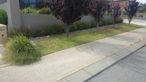 artificial_grass_perth_termico_ecoturf_2.JPG