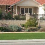 Water wise front verge Perth