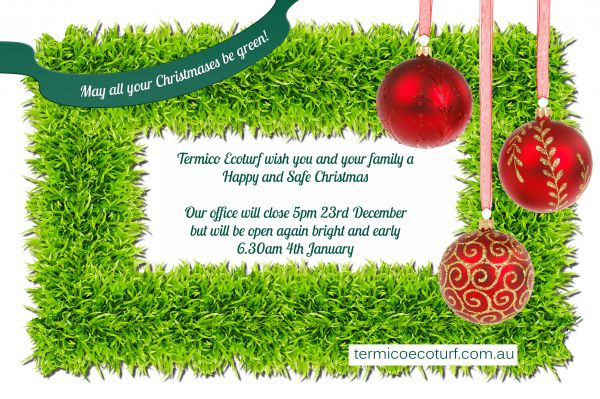 artificial_grass_Perth_christmas_2015.jpg